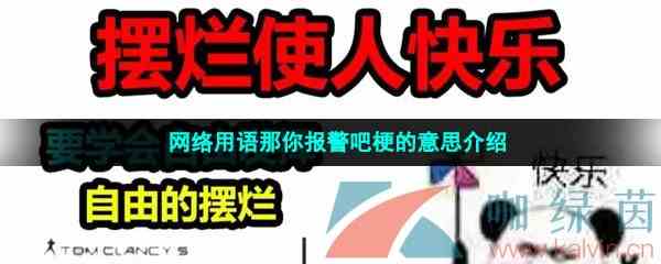 网络用语那你报警吧梗的意思介绍