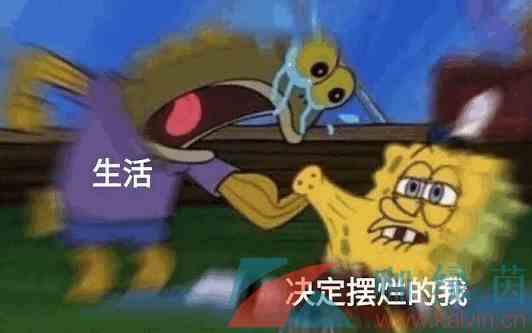 网络用语摆烂文学梗的意思介绍