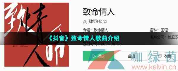 《抖音》致命情人歌曲介绍