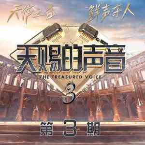 《抖音》玫瑰少年歌曲介绍