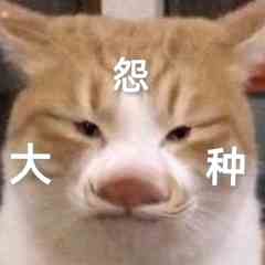 网络用语冤种意思介绍