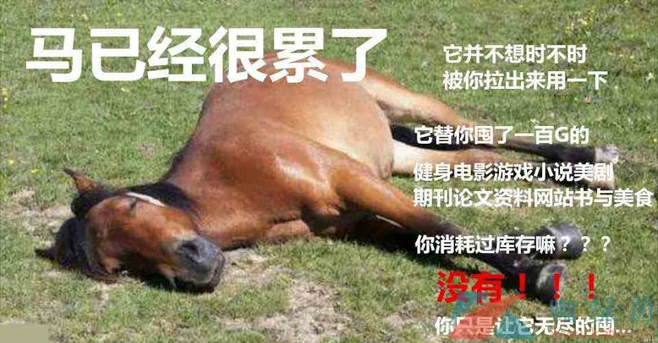 网络用语马已经很累了意思介绍