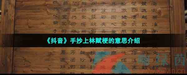 《抖音》手抄上林赋梗的意思介绍