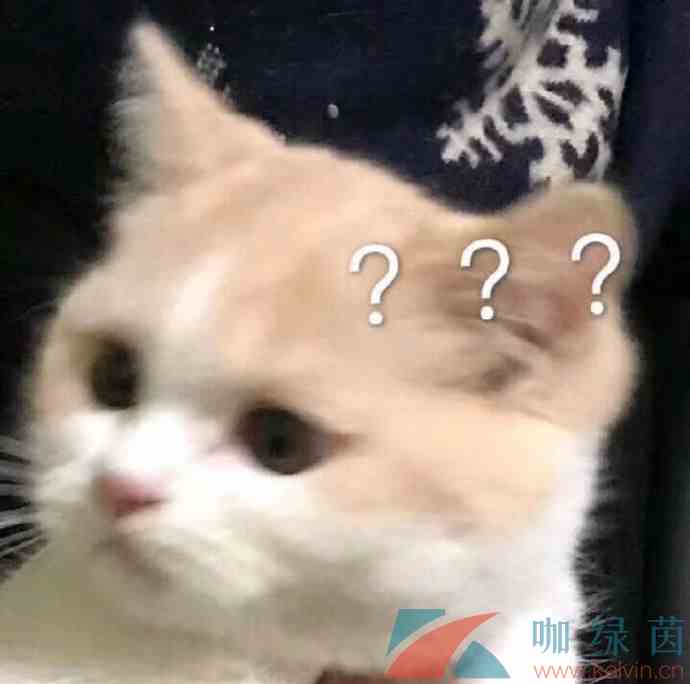 网络用语出音味来梗的意思介绍