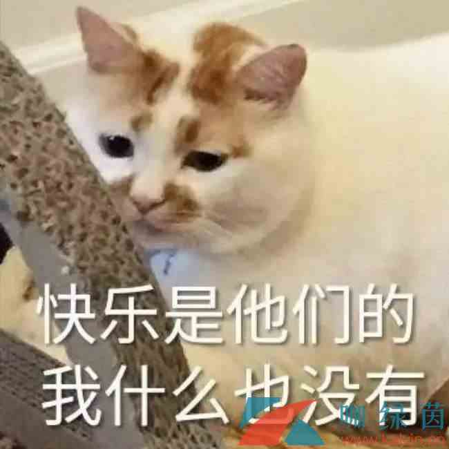 网络用语不开心你就去soul意思介绍