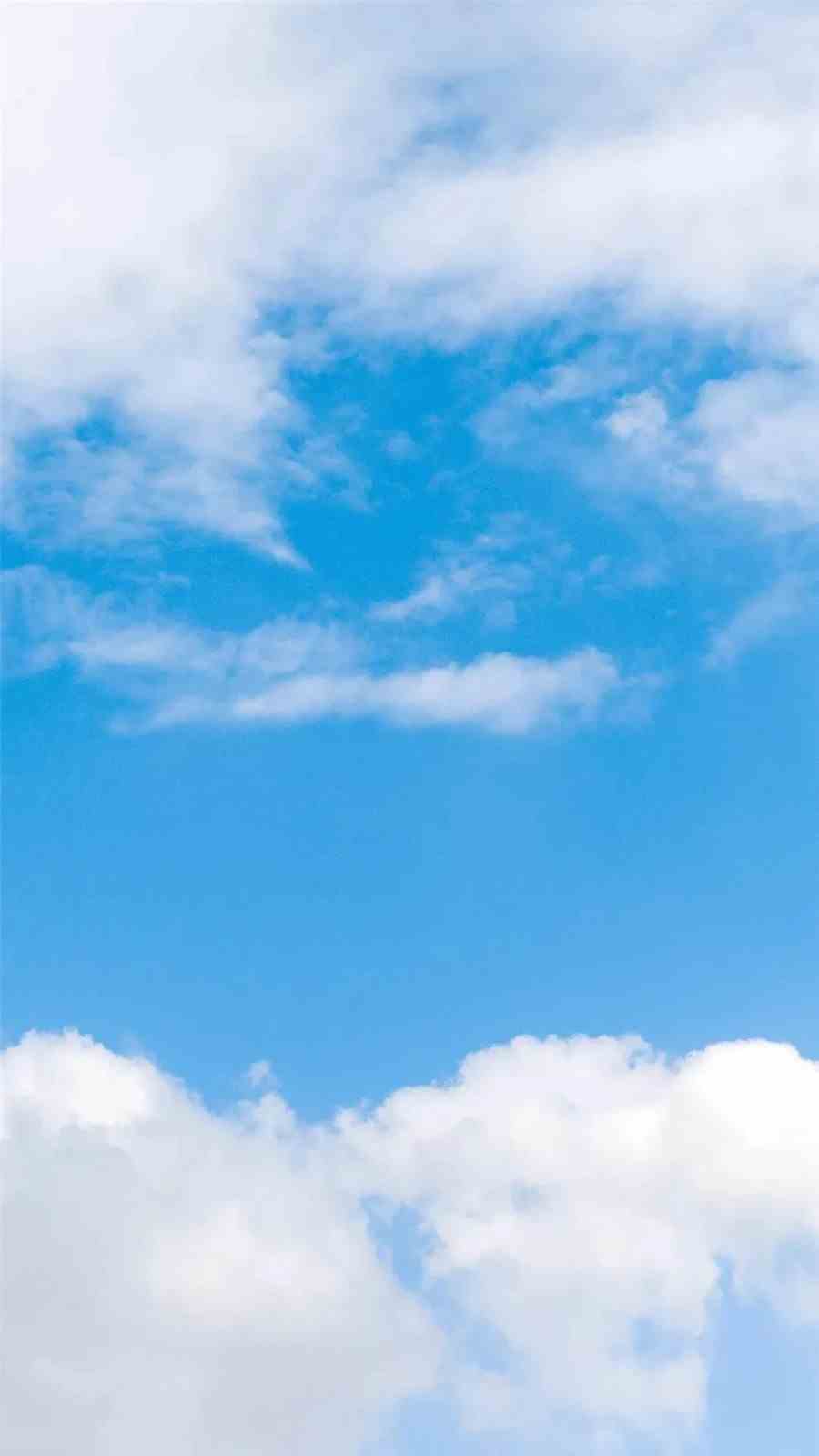《抖音》养鸡表情包大全GIF动图