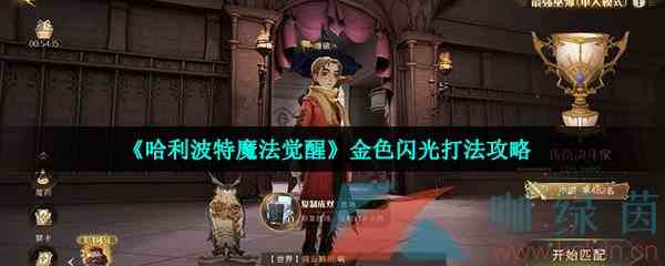 《哈利波特魔法觉醒》金色闪光打法攻略