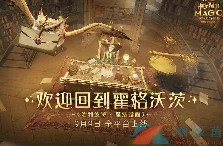 《哈利波特魔法觉醒》男女角色选择推荐