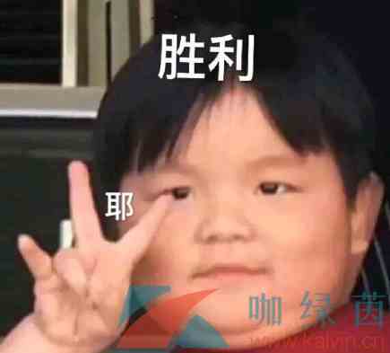 躺平式追星梗的意思介绍