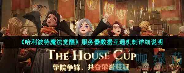 《哈利波特魔法觉醒》服务器数据互通机制详细说明