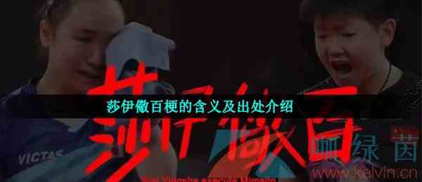 莎伊儆百梗的含义及出处介绍