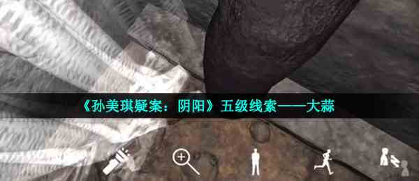《孙美琪疑案：阴阳》五级线索——大蒜