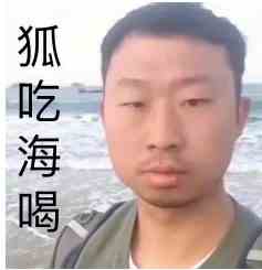 无穷小亮狐主任系列表情包大全