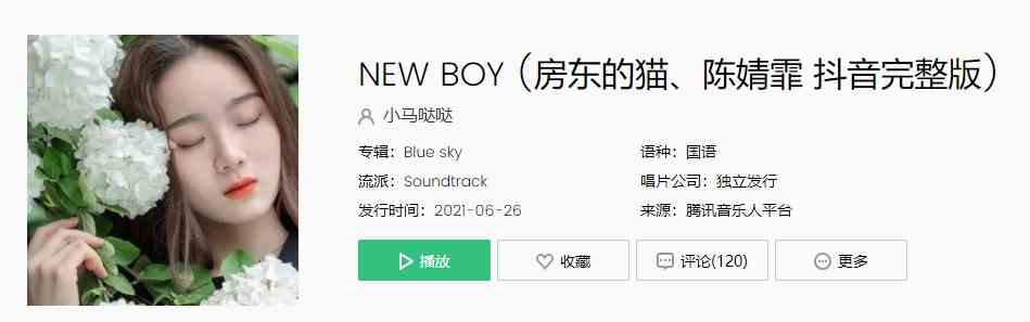 房东的猫与陈婧霏翻唱版本的《New Boy》歌曲完整版在线试听入口