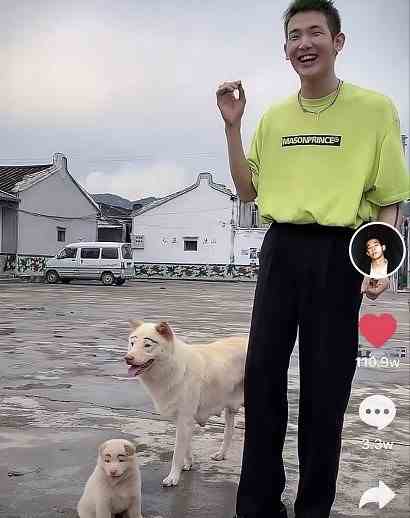 《抖音》寻找梅尼耶梗的含义及出处