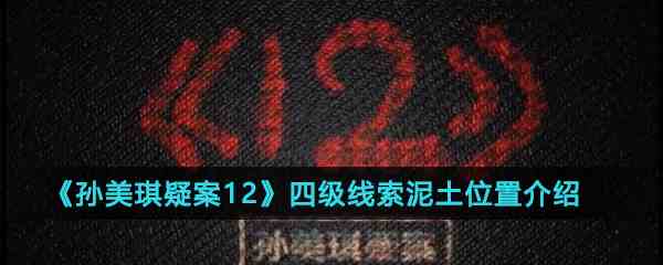 《孙美琪疑案12》四级线索泥土位置介绍