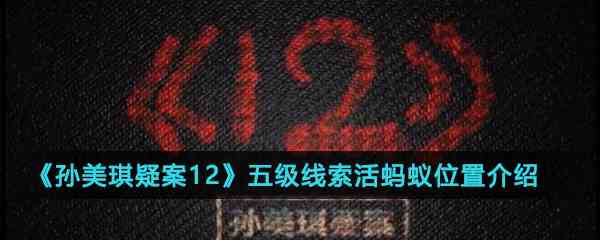 《孙美琪疑案12》五级线索活蚂蚁位置介绍