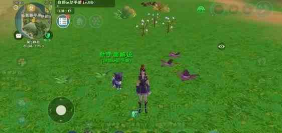 《创造与魔法》紫苏位置介绍