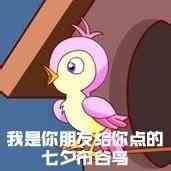 《微博》七夕布谷鸟不孤高清原图表情包分享