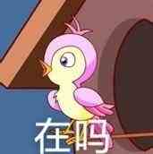 《微博》七夕布谷鸟不孤高清原图表情包分享