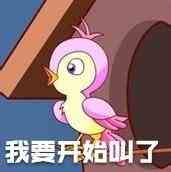 《微博》七夕布谷鸟不孤高清原图表情包分享