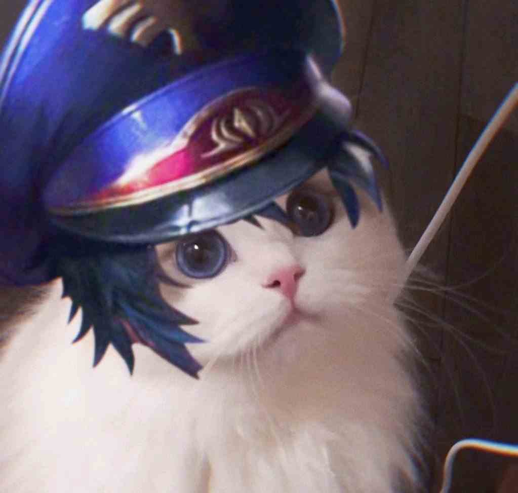 《王者荣耀》猫咪五虎将系列接头头像大全