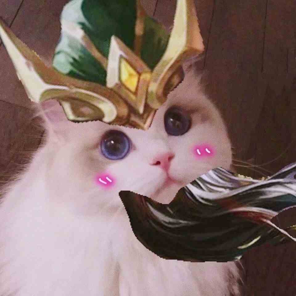 《王者荣耀》猫咪五虎将系列接头头像大全