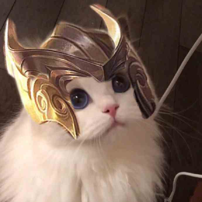 《王者荣耀》猫咪五虎将系列接头头像大全