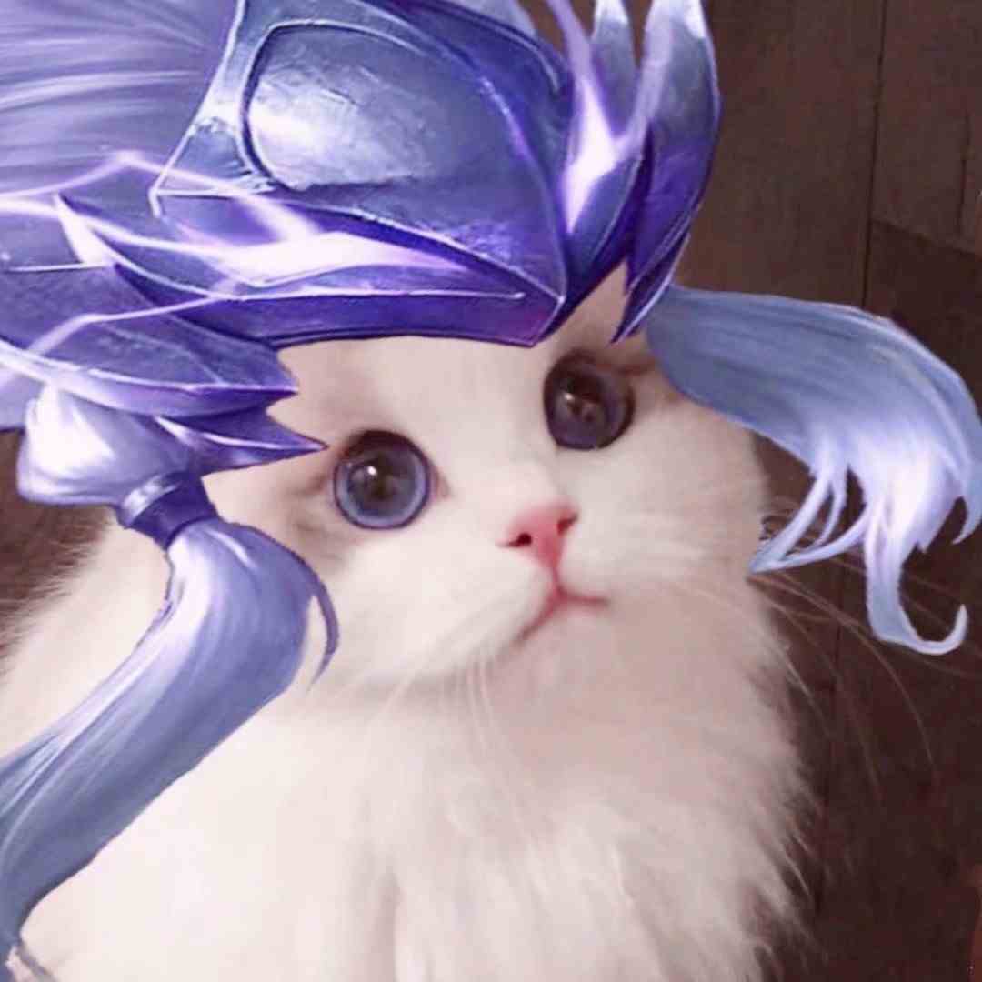 《王者荣耀》猫咪五虎将系列接头头像大全
