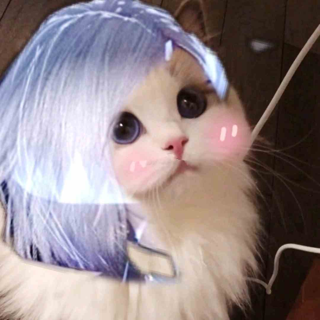 《王者荣耀》猫咪刺客接头头像大全