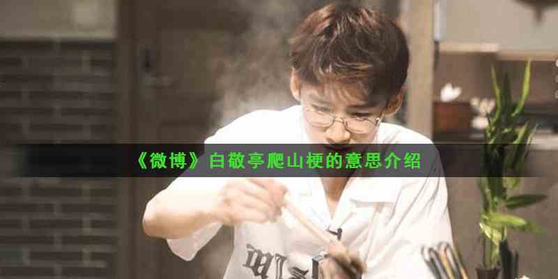 《微博》白敬亭爬山梗的意思介绍