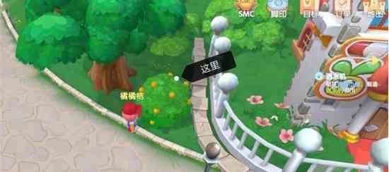 《摩尔庄园手游》红色浆果和橙色浆果位置介绍