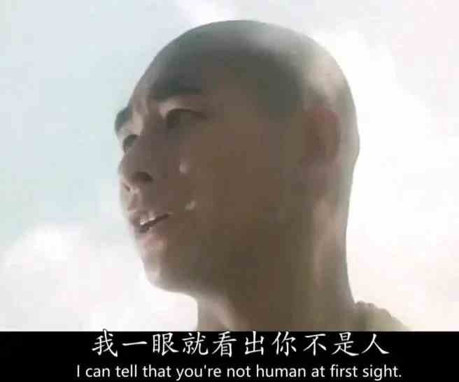 赵文卓大威天龙的表情包大全