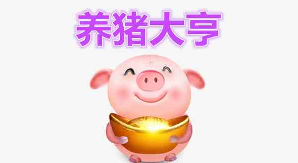 《养猪大亨》赚钱方法