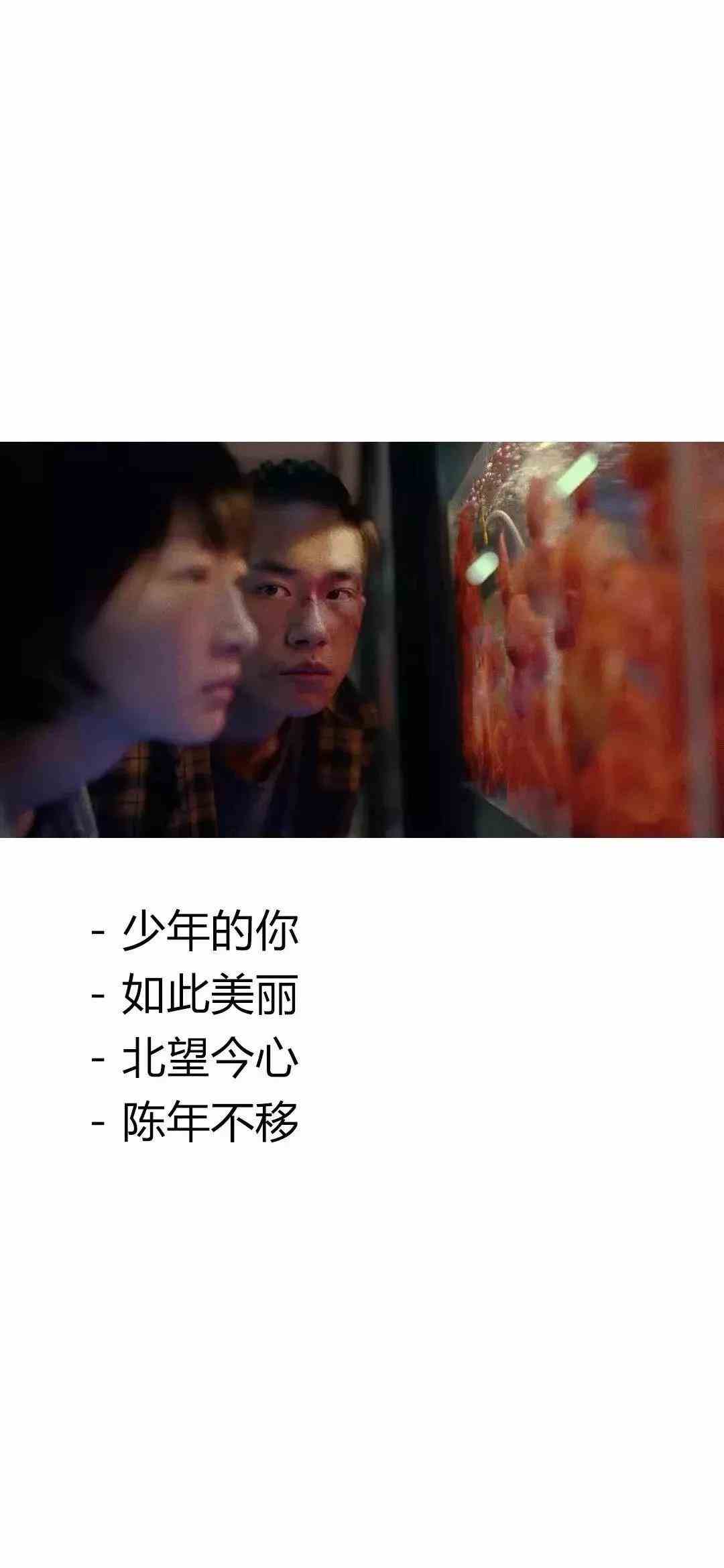 《抖音》少年的你如此美丽北望今心陈年不移手机壁纸分享