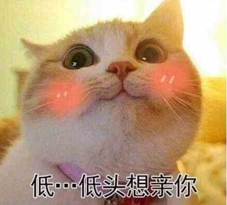 《抖音》真系想嘴淡你梗介绍