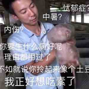 《抖音》这个XX看上去好像中暑了表情包分享