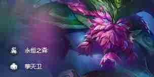 云顶之弈S11四费卡数量解析
