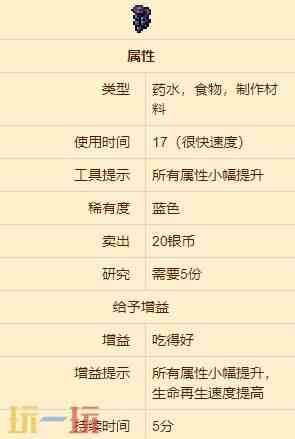 泰拉瑞亚黑醋栗怎么获得 黑醋栗有什么用