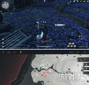 夜晚与杨善婆对话