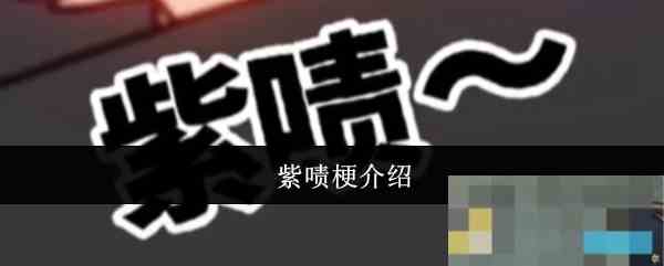 紫啧梗介绍