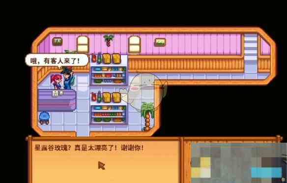 《星露谷物语》海盗的妻子任务攻略