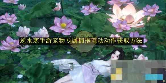 《逆水寒手游》宠物专属拥抱互动动作获取方法