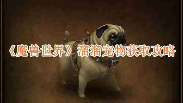 魔兽世界溜溜宠物怎么获得 魔兽世界溜溜宠物获取方法介绍