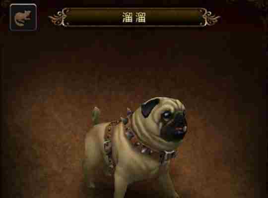 魔兽世界溜溜宠物怎么获得 魔兽世界溜溜宠物获取方法介绍