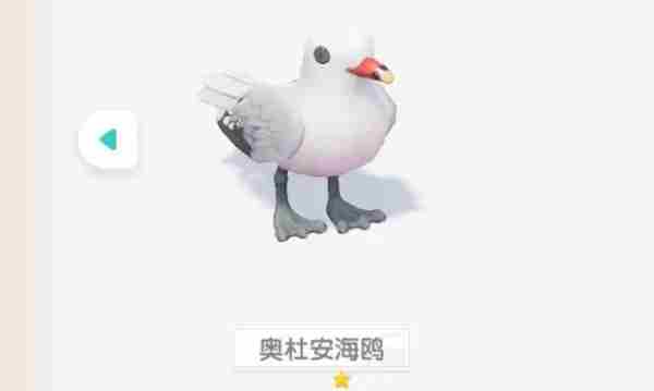 心动小镇奥杜安海鸥位置在哪 心动小镇奥杜安海鸥位置一览