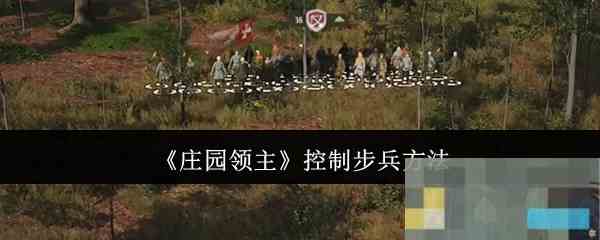 《庄园领主》控制步兵方法