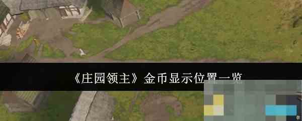 《庄园领主》金币显示位置一览