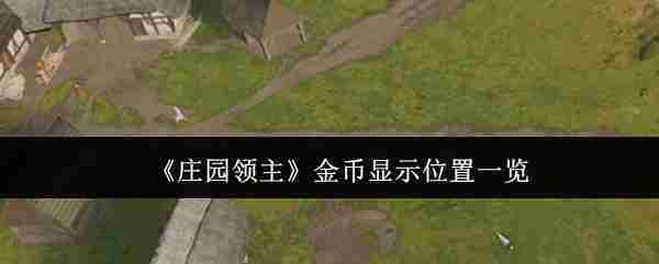 《庄园领主》金币显示位置一览