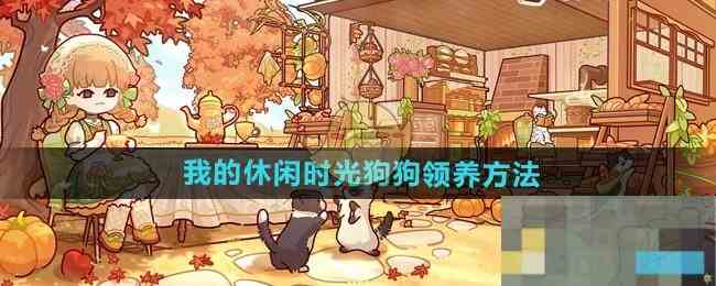 《我的休闲时光》狗狗领养方法